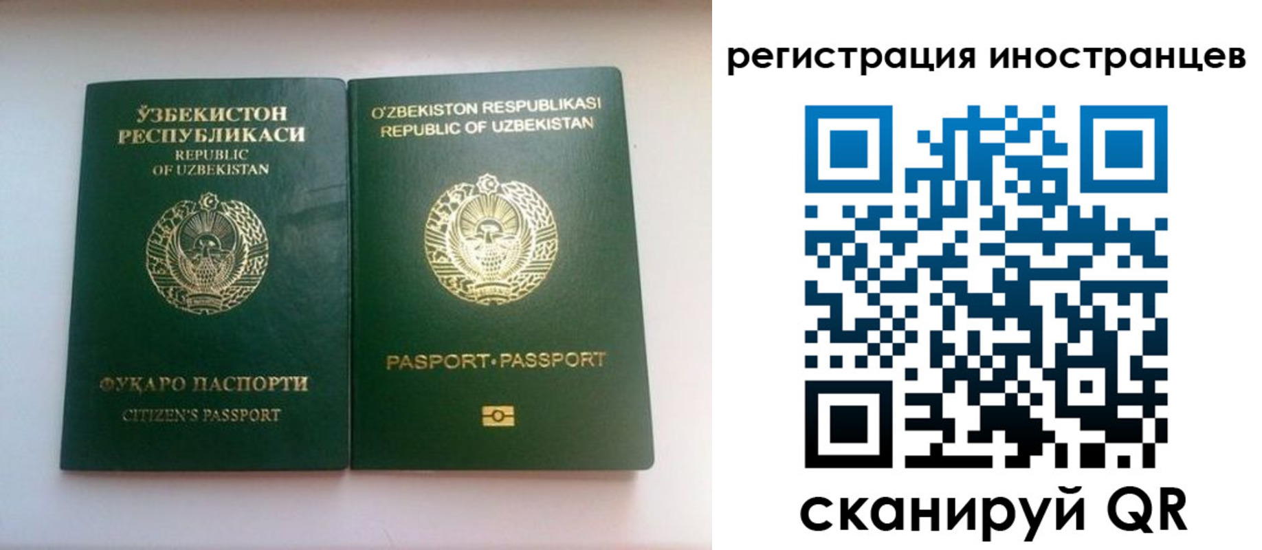 прописка 2025 в Сочи